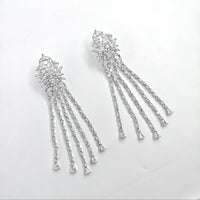 Pair of silver earrings with dangling elements on a white background